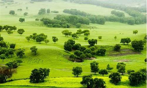 哪里的大草原适合旅游_哪里的大草原适合旅游的地方