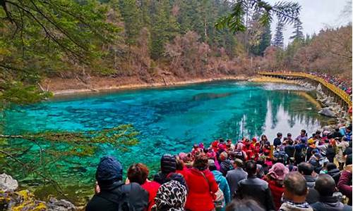 九寨沟旅行报团_九寨沟旅行报团为啥没有包括观光车