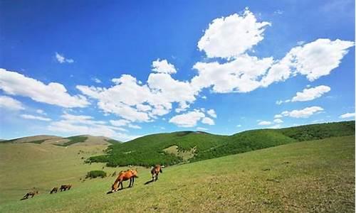 丰宁坝上草原旅游攻略_丰宁坝上草原旅游攻略2天