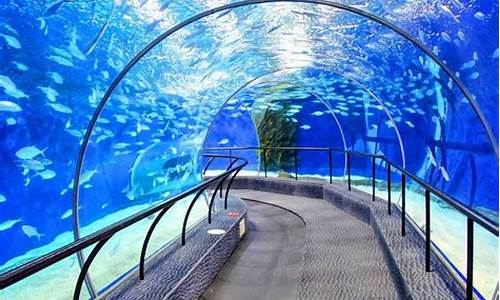 上海海洋水族馆怎么样_上海海洋水族馆怎么样好玩吗