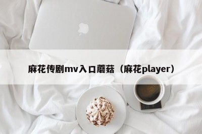 麻花传剧mv入口蘑菇（麻花player）