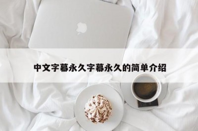 中文字幕永久字幕永久的简单介绍