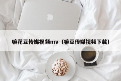 嘛花豆传媒视频mv（嘛豆传媒视频下载）